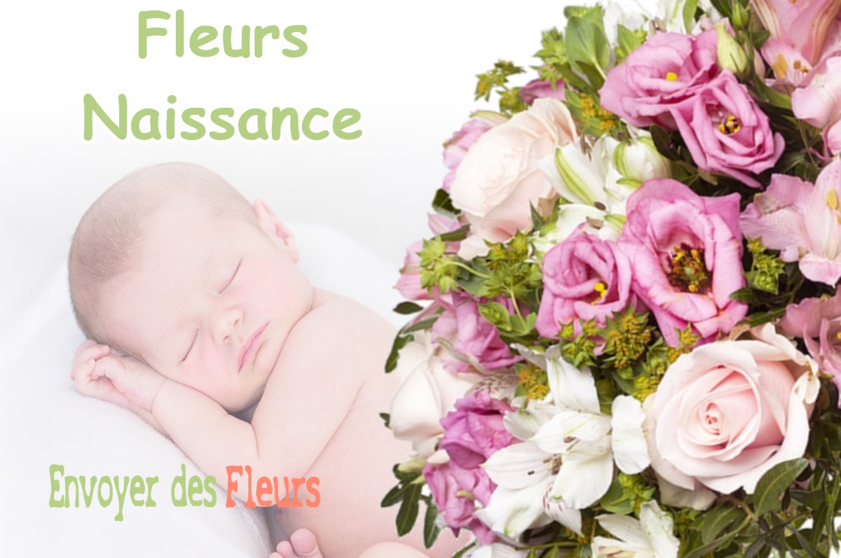 lIVRAISON FLEURS NAISSANCE à LA-SALVETAT-LAURAGAIS