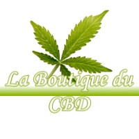 LA BOUTIQUE DU CBD LA-SALVETAT-LAURAGAIS 